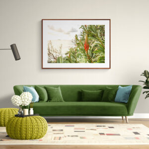 cherry-framed image of aloe flowers in a minimalistic setting