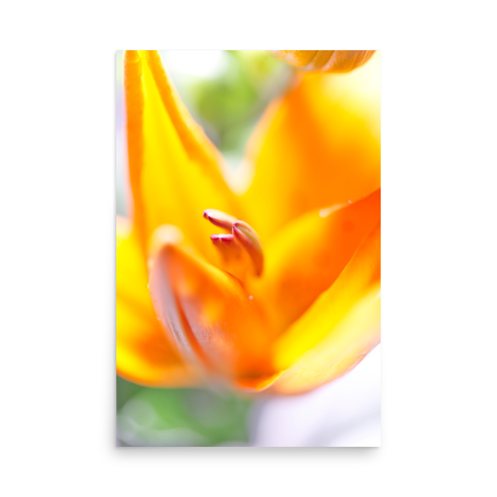 Close-up of the 'Lilium III' Print, featuring a vibrant orange lily with petals and stamen in soft focus against a blurred green and white background.
